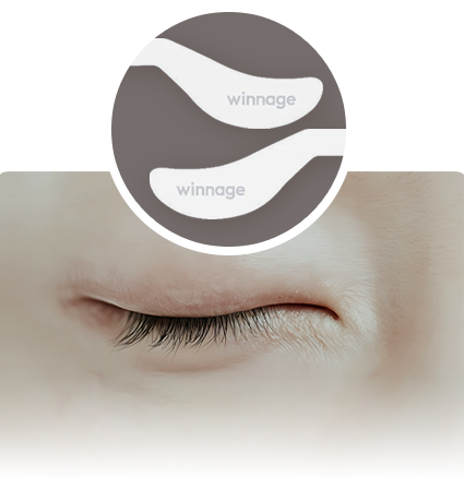 위너지 볼륨 회복과 탄력 강화