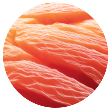 위너지 볼륨 회복과 탄력 강화